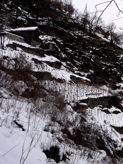 18_Unter_solch_einer_Decke_lässt_s_sich_ruhig_schlafen_...