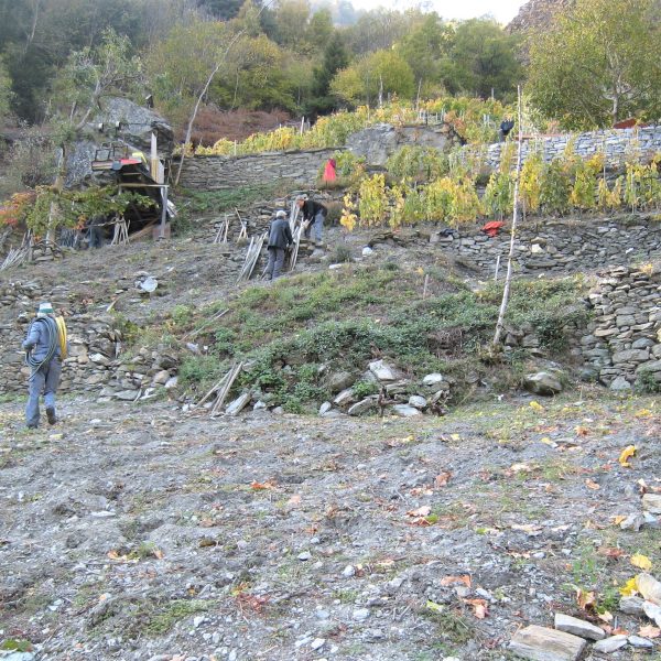 Trockenmauern_Bild 1_alte Mauern